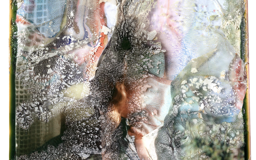 Getting Technical: Alternative Photographic Processes